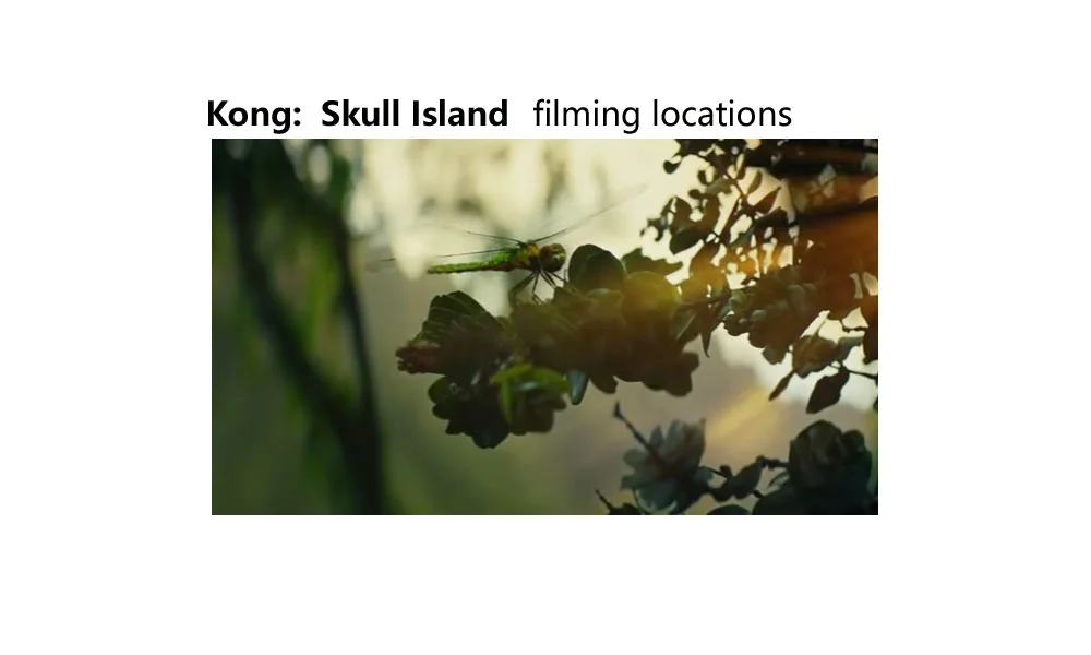 Filmed in Hawaii - Kong: Skull Island (2017) - HomeyHawaii